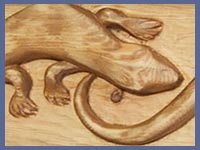 Spectacled Lizards. 24 inches long. Pine.
